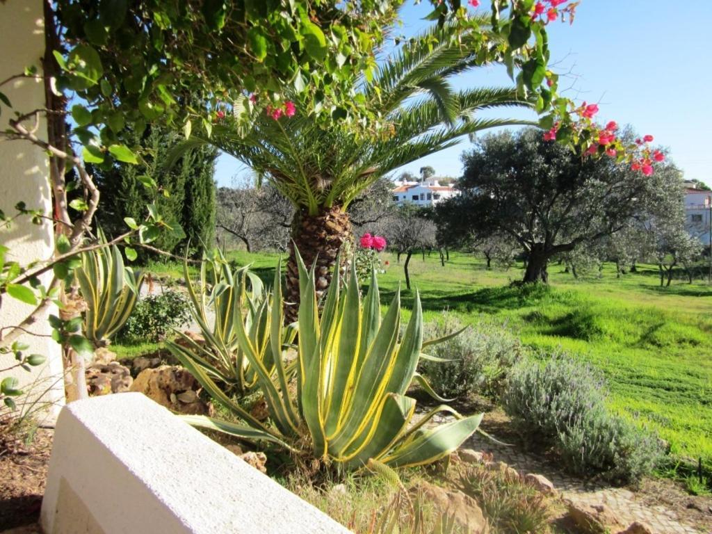 Quinta Mimosa Hotell Loulé Rum bild